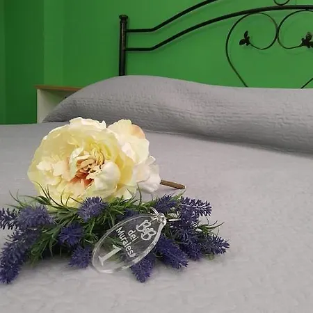 Bed & Breakfast Dei Murales 3*
